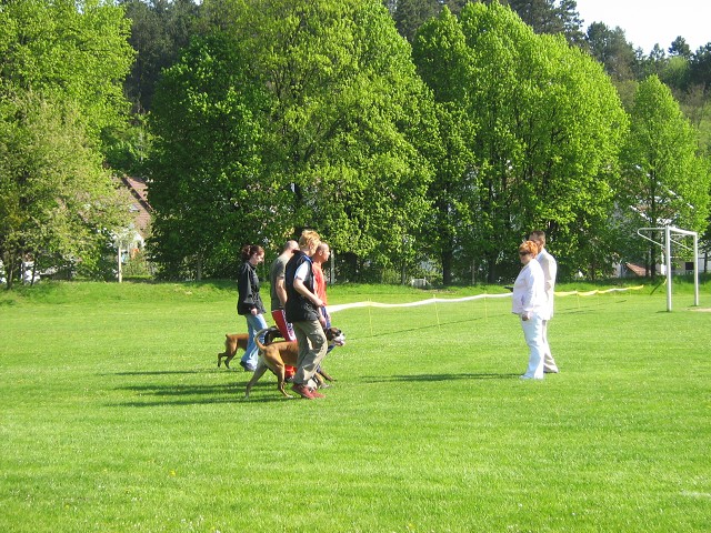 www.atibox.net * www.euroboxer.eu * www.boxergenealogia.eu